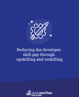 Screenshot 1 34 260x320 - Reducing the Developer Skill Gap through Upskilling and Reskilling