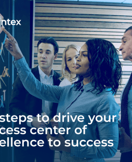 Screenshot 1 5 260x320 - Six Steps to Drive Your Process Center of Excellence to Success