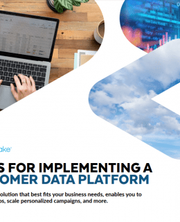 Screenshot 1 28 260x320 - 5 Tips for Implementing a Customer Data Platform