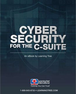 Cyber Security for the C-Suite