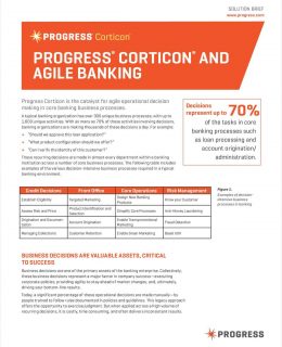 Agile Operational Decision Making in Core Banking Business Processes