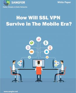 How Will SSL VPN Survive in The Mobile Era?
