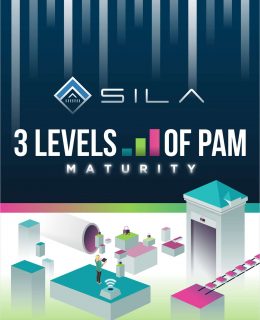 At-A-Glance: 3 Levels of PAM Maturity