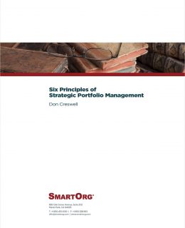 Six Principles of Strategic Portfolio Management