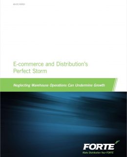 E-Commerce and Distribution's Perfect Storm - Neglecting Warehouse Operations Can Undermine Growth