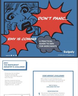 EMV Is Coming? Don't Panic  A Practical Guide to EMV for Merchants