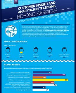 Customer Insight and Analytics in Telecoms: Beyond Barriers