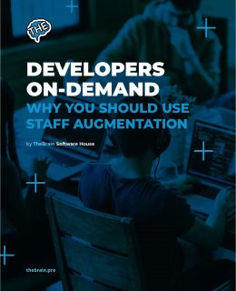 Developers On-Demand: Why You Should Use Staff Augmentation