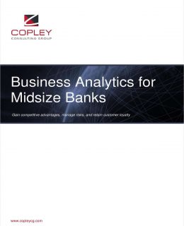Business Analytics for Midsize Banks