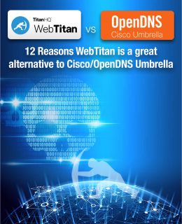 OpenDNS Alternatives for MSPs