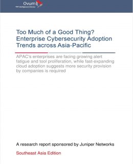 Too Much of a Good Thing? Enterprise Cybersecurity Adoption Trends across ASEAN