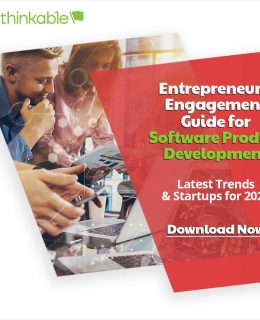 Entrepreneur's Engagement Guide for Software Product Development
