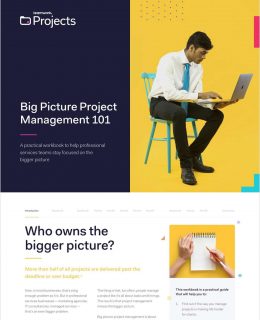 Big Picture Project Management 101