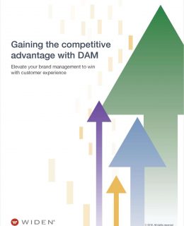 Gaining the Competitive Advantage with DAM