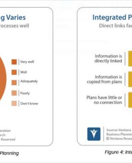 Integrated Business Planning: Driving Business Action with Agility