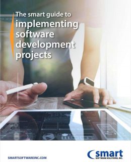 The Smart Guide to Implementing Software Development Projects