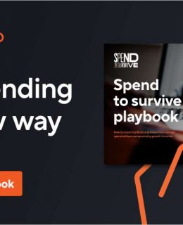 Spend to Survive Playbook