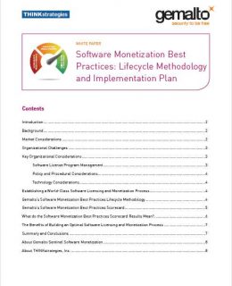 Best Practices: Software Monetization Lifecycle Methodology and Implementation.