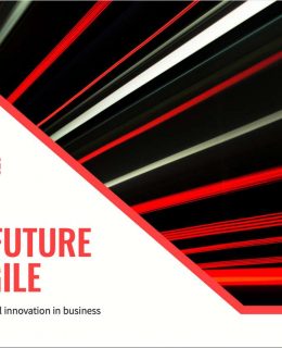 The Future Is Agile: A Guide to Digital Innovation in Business