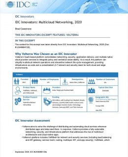 IDC Innovators: Multicloud Networking, 2020