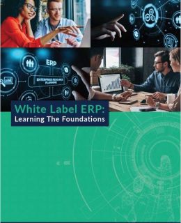 White Label ERP - Learning the Foundations
