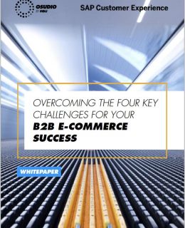 The B2B Guide to the 4 key E-commerce Challenges of Today
