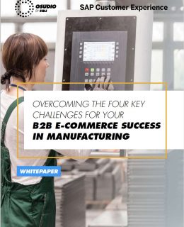 B2B E-COMMERCE SUCCESS FOR BRAND MANUFACTURERS