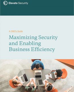 A CISOs Guide: Maximizing Security and Enabling Business Efficiency