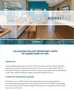 CALCULATING THE LOST OPPORTUNITY COSTS  OF LEASING AGENT DIY-ERS