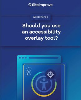 Should You Use an Accessibility Overlay Tool?