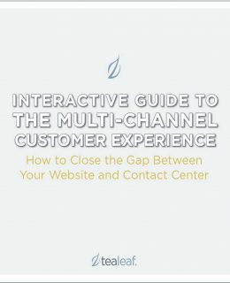 Guide to the Multi-Channel Customer Experience