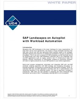 SAP Landscapes on Autopilot with Workload Automation