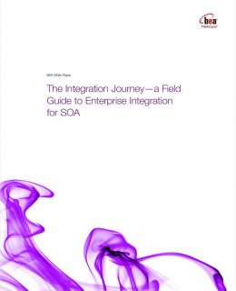 The Integration Journey—a Field Guide to Enterprise Integration for SOA