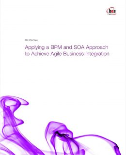 Applying a BPM and SOA Approach to Achieve Agile Business Integration