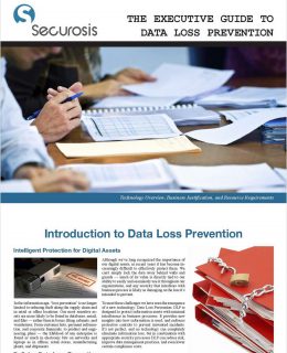 The Executive Guide to Data Loss Prevention