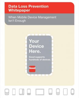 When Mobile Device Management Isn't Enough