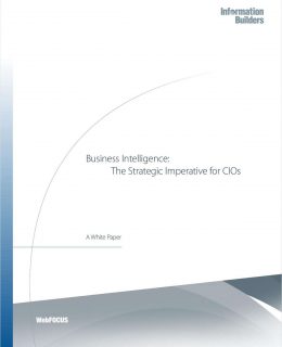 Business Intelligence: The Strategic Imperative for CIOs