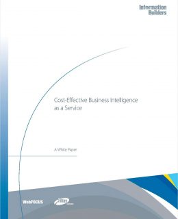 Cost-Effective Business Intelligence as a Service