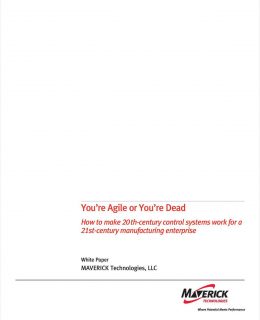 DCS White Paper: You're Agile or You're Dead