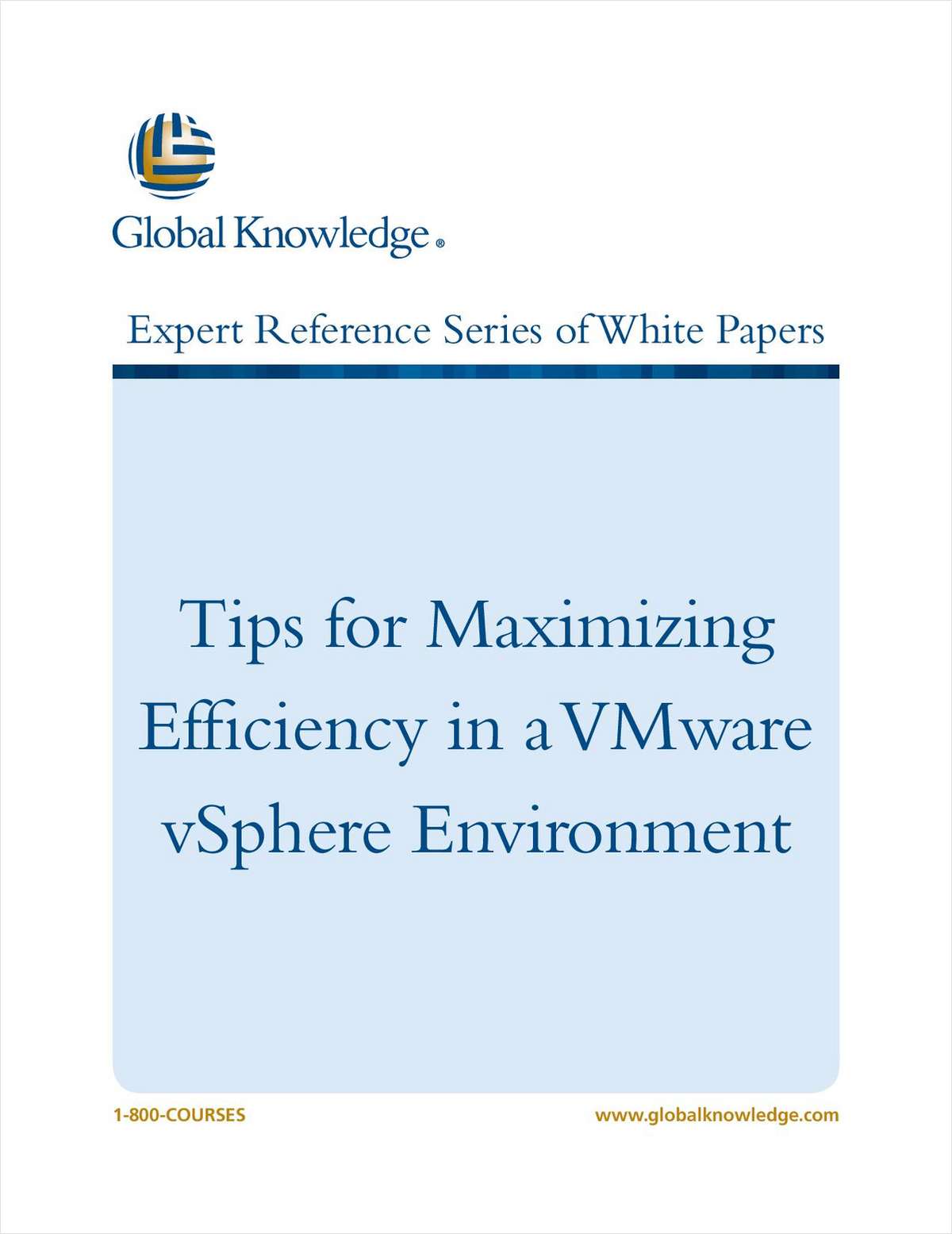 Tips for Maximizing Efficiency in a VMware vSphere Environment