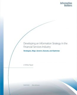 Developing an Information Strategy in the Financial Services Industry
