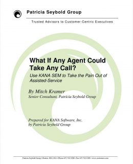 Use KANA SEM to Take the Pain Out of Assisted-Service