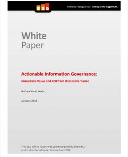 Actionable Information Governance: Immediate Value and ROI from Data Governance