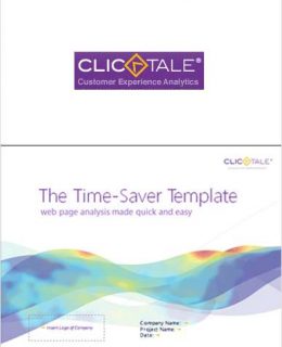The Time-Saver Power Point Template: Quick and Easy Website Analysis