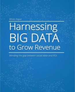 Harnessing BIG DATA to Grow Revenue