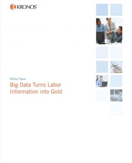 Big Data Turns Labor Information into Gold
