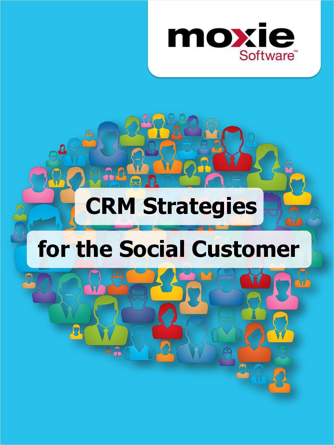 CRM Strategies for the Social Customer