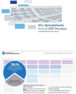 Why Do Spreadsheets Rule Even in ERP Environments?