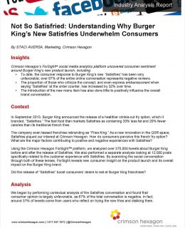 Not So Satisfried: Understanding Why Burger King's New Satisfries Underwhelm Consumers
