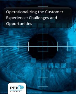 Operationalizing the Customer Experience - Survey Report